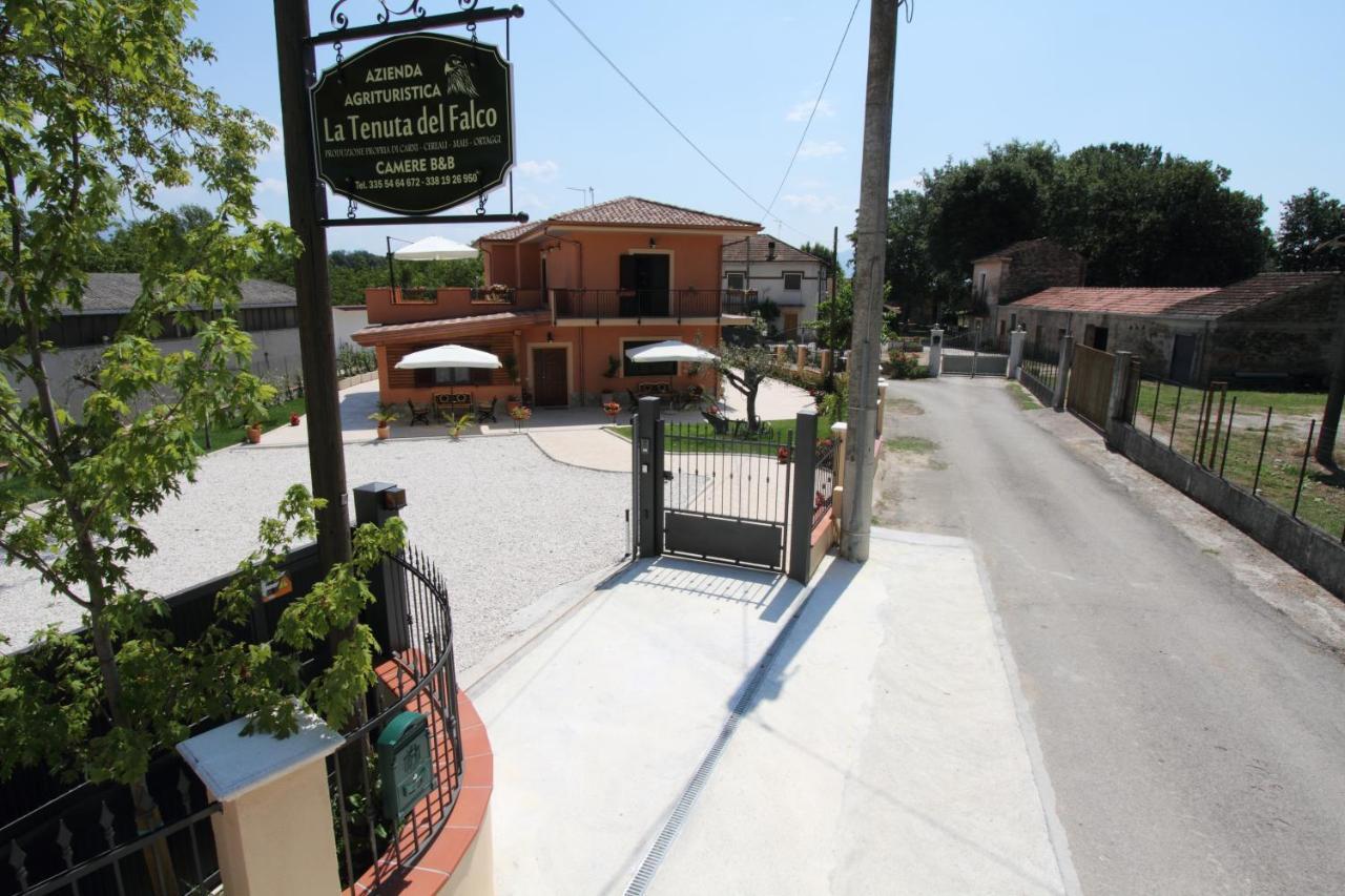 Azienda Agrituristica La Tenuta Del Falco Piedimonte San Germano Ngoại thất bức ảnh