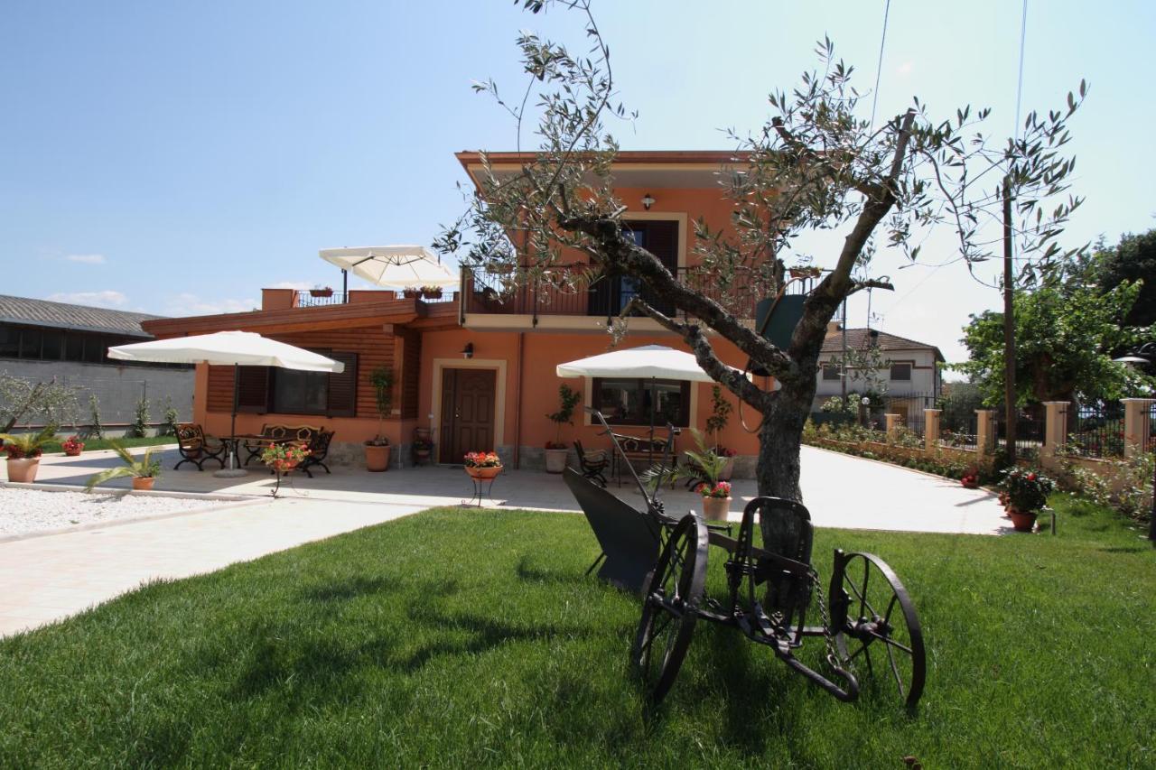 Azienda Agrituristica La Tenuta Del Falco Piedimonte San Germano Ngoại thất bức ảnh