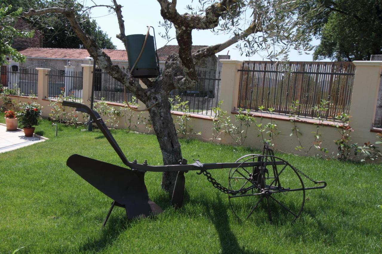 Azienda Agrituristica La Tenuta Del Falco Piedimonte San Germano Ngoại thất bức ảnh