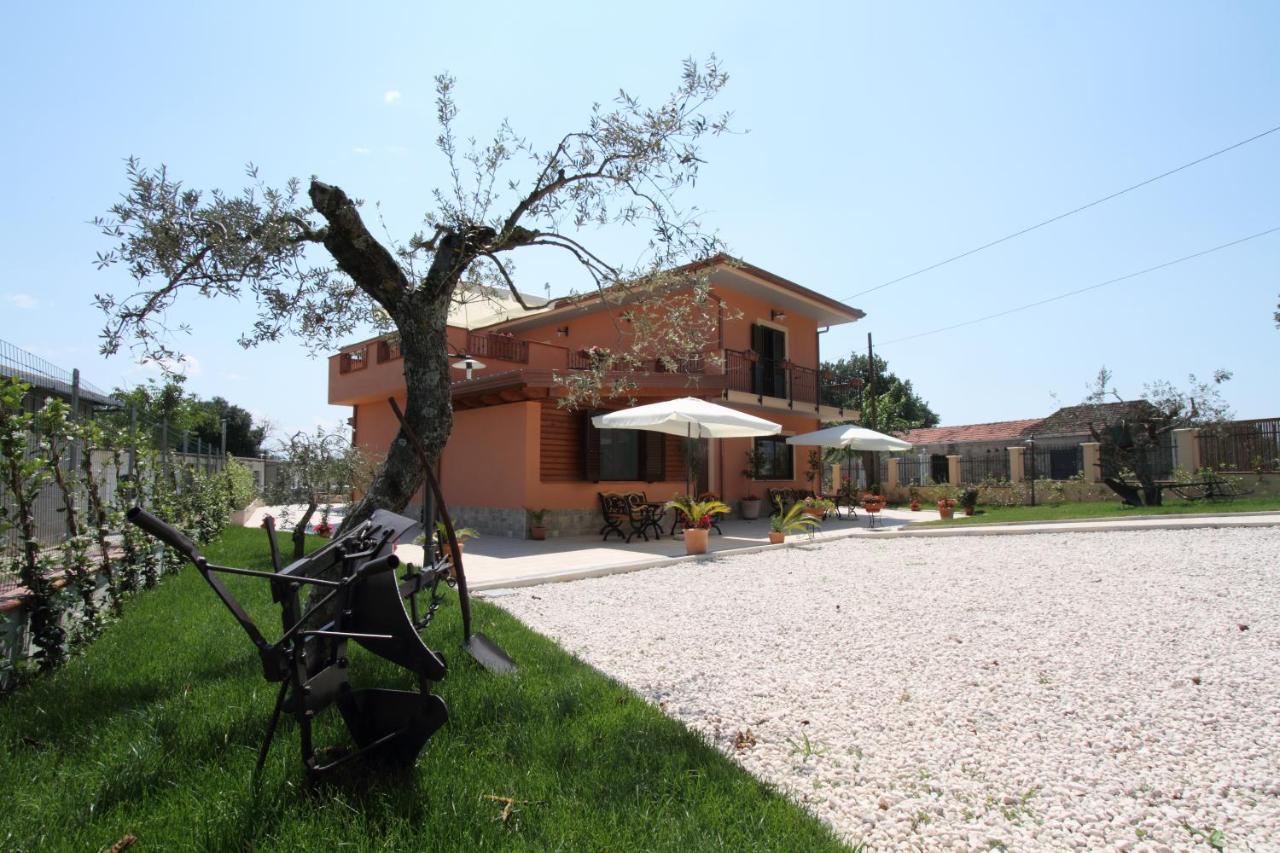 Azienda Agrituristica La Tenuta Del Falco Piedimonte San Germano Ngoại thất bức ảnh
