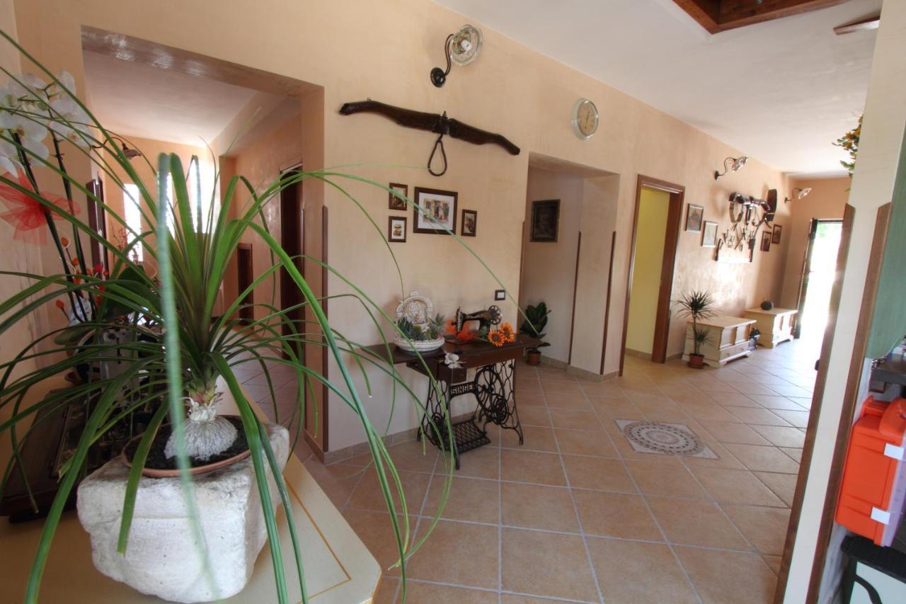 Azienda Agrituristica La Tenuta Del Falco Piedimonte San Germano Ngoại thất bức ảnh